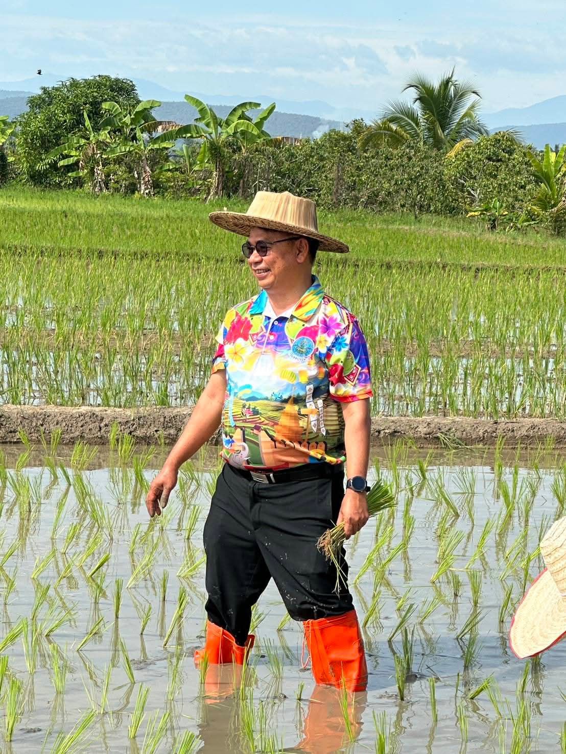 ภาพประกอบ