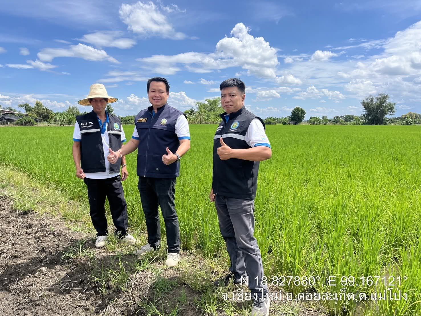 ภาพประกอบ