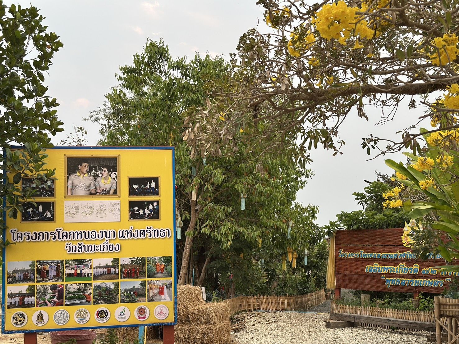 รูปภาพ