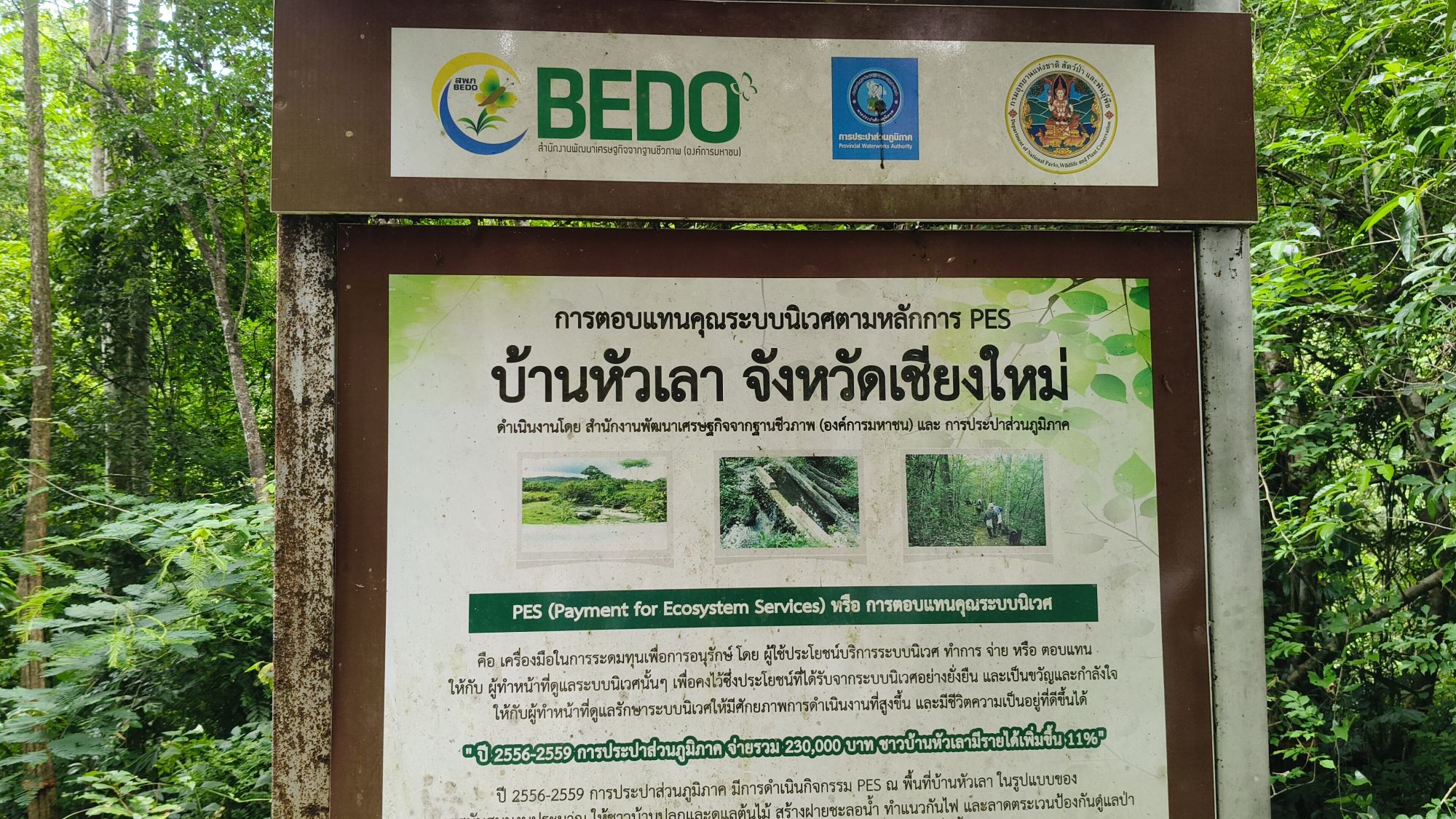 รูปภาพ