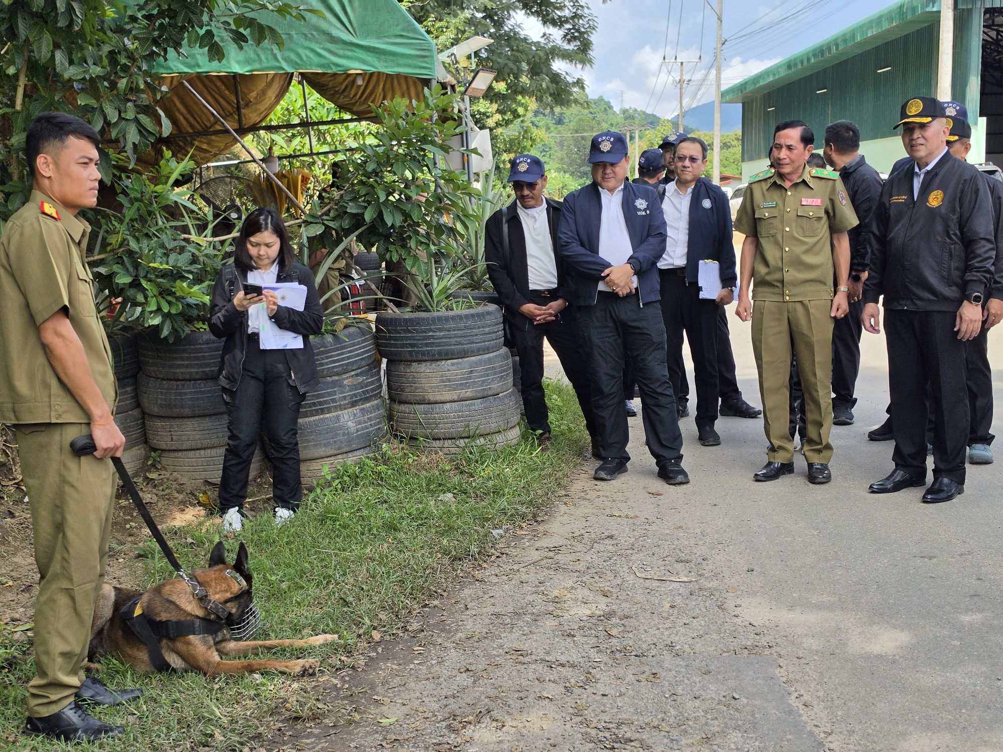 รูปภาพ