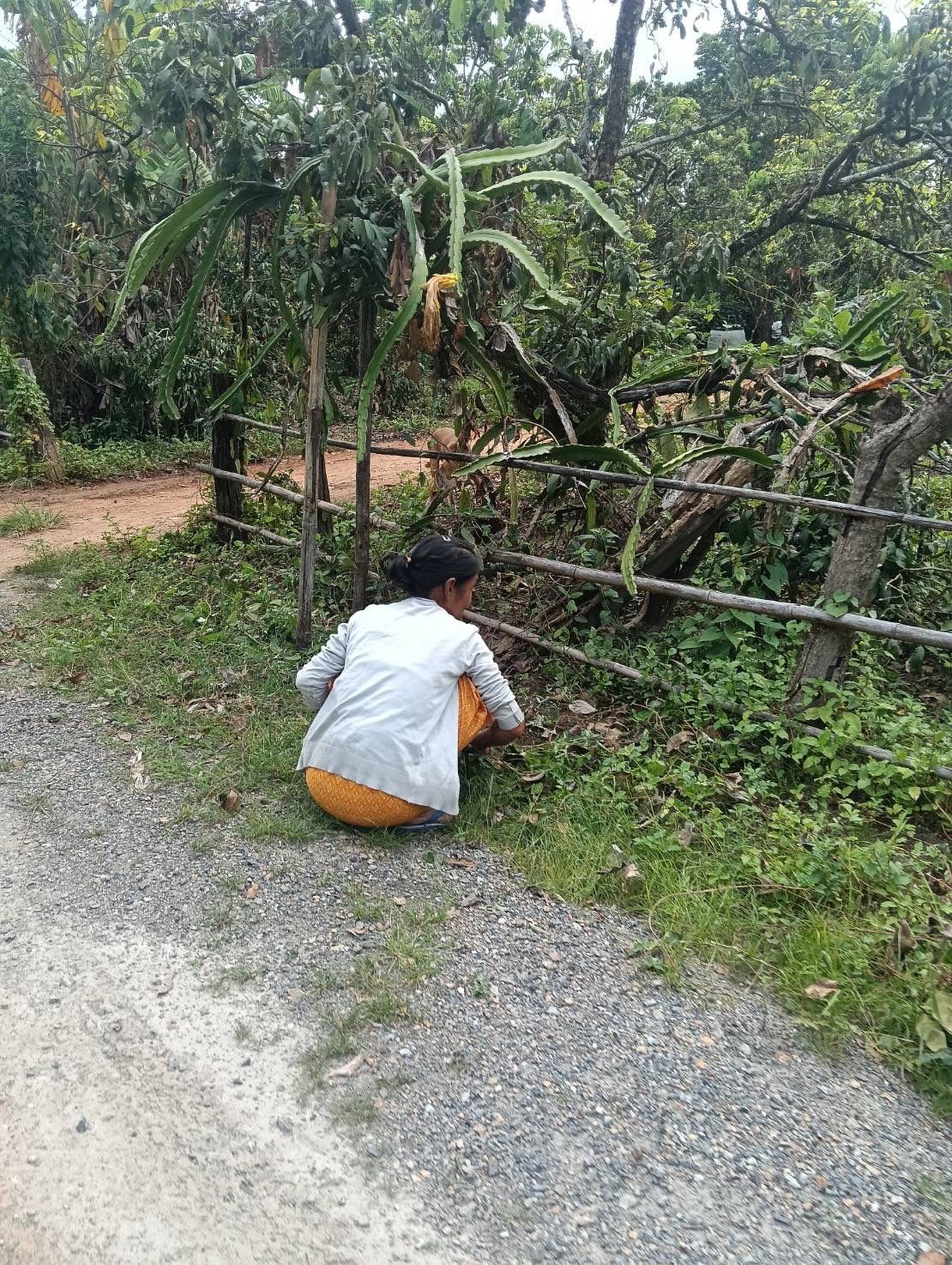 รูปภาพ