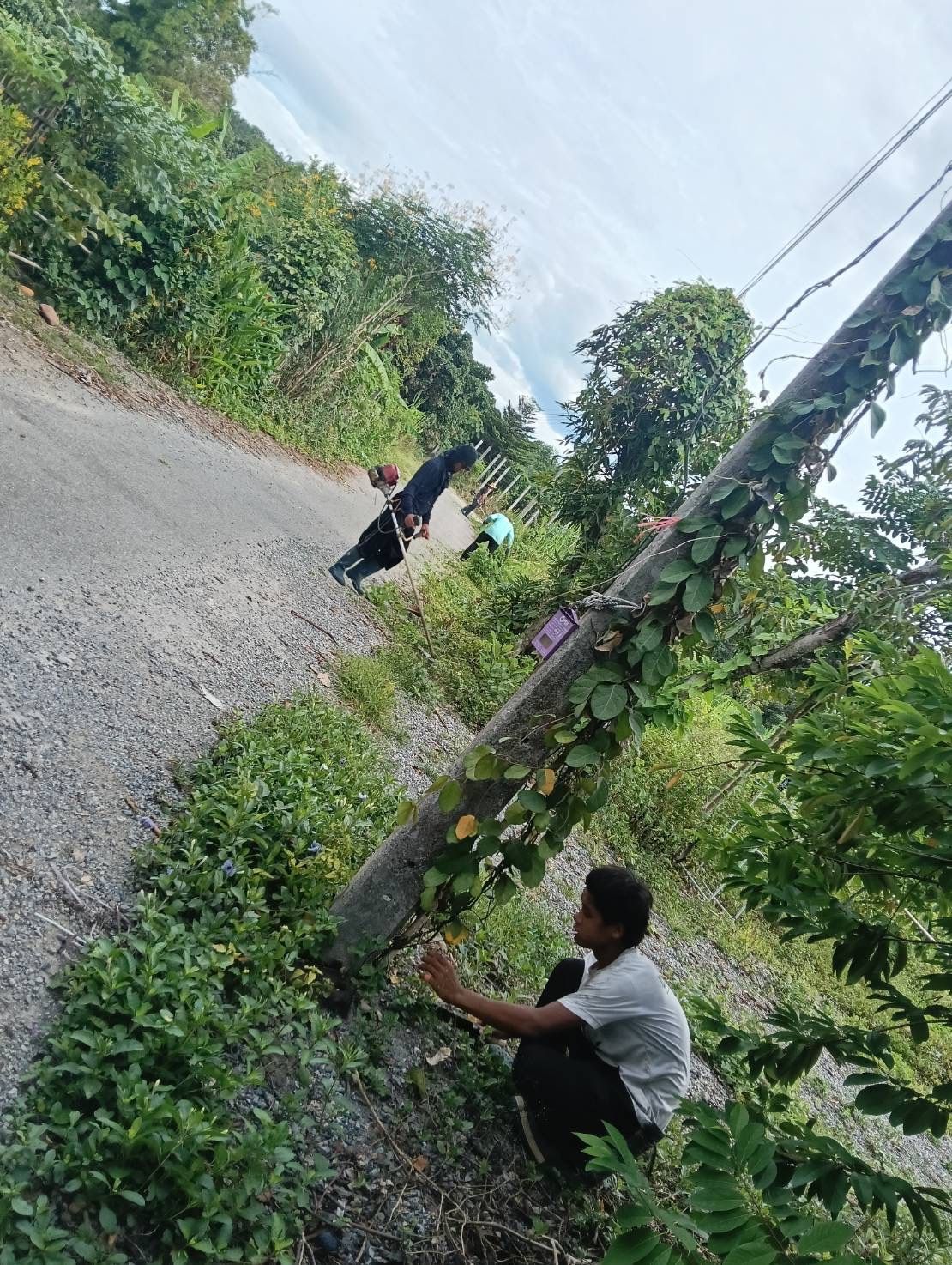 รูปภาพ