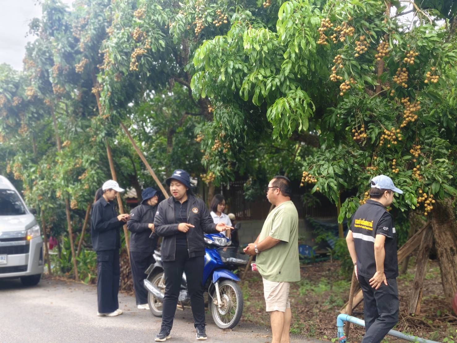 รูปภาพ