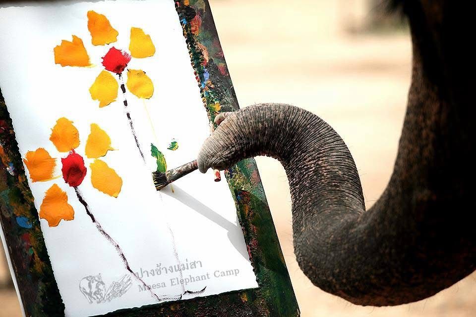 รูปภาพ