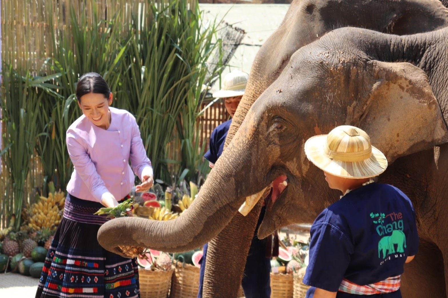 รูปภาพ