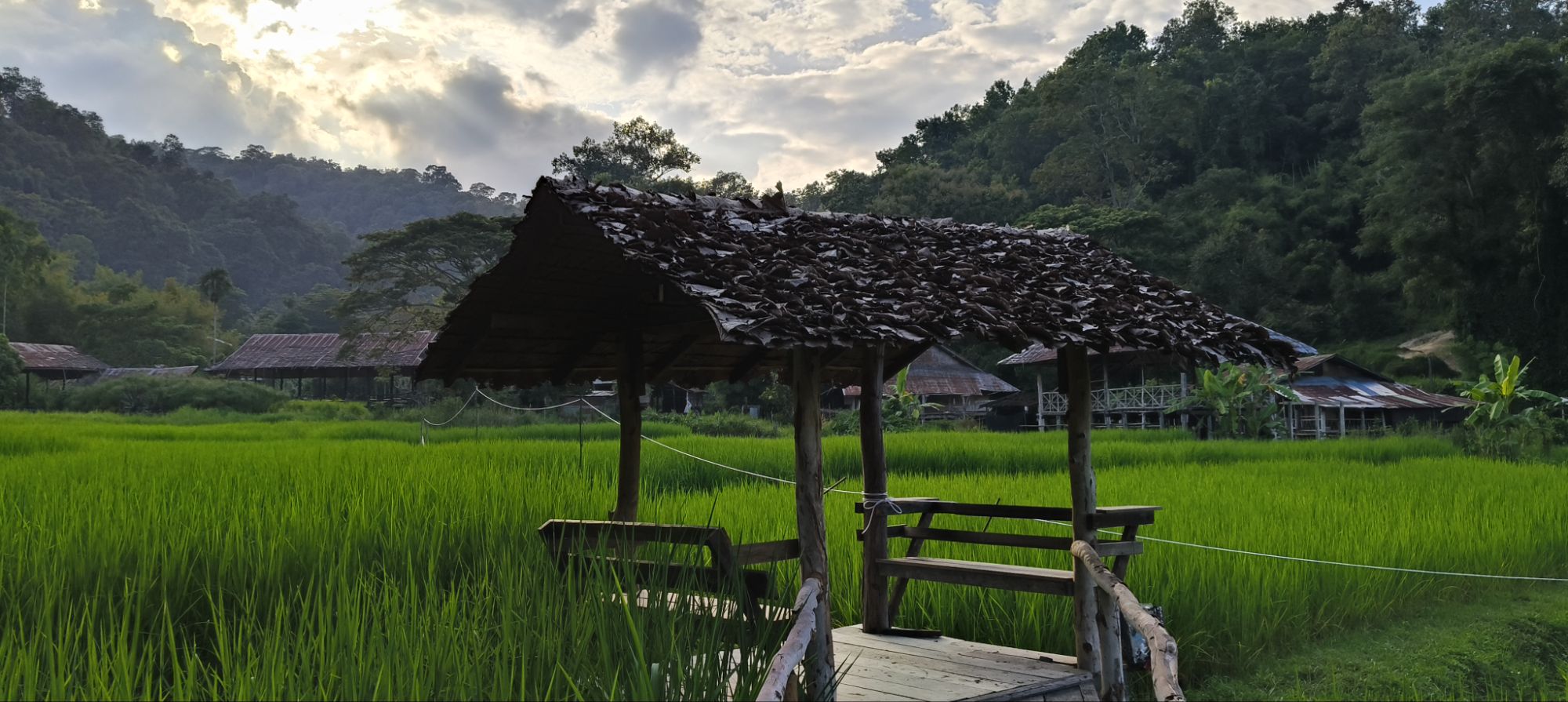 รูปภาพ