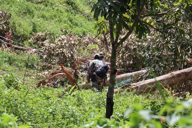 ยะลา-จนท. เข้าตรวจสอบเหตุ ช้างป่าบุกรุกทำลายต้นทุเรียนอายุกว่า ๕๐ ปี ล้มระเนระนาด ปัญหายืดเยื้อยาวนาน