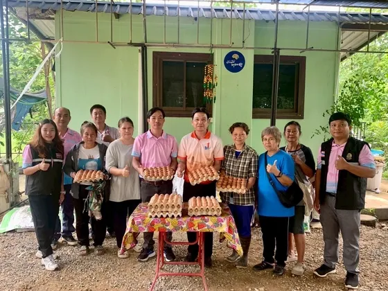 ภาพข่าว ปศุสัตว์เพชรบุรี ส่งเสริมการเลี้ยงไก่ไข่แบบปล่อยอิสระ(Free Range) จากฟาร์มสู่โรงแรม ๕ ดาว ยกระดับสินค้าเกษตรมูลค่าสูง - TIGER NEWS REPORT