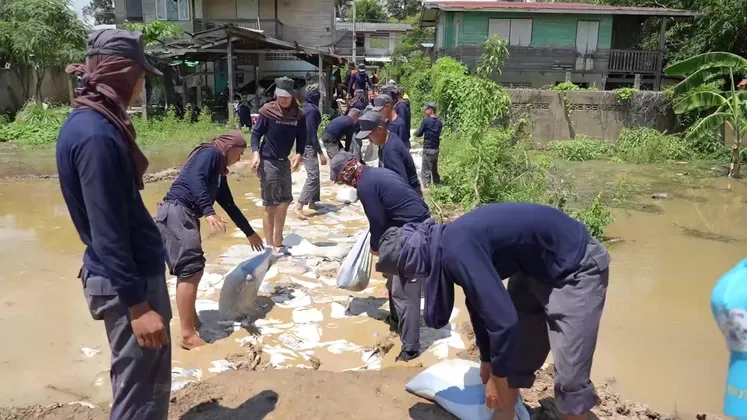 ภาพข่าว ชัยนาท ทหารกองบิน ๔ ตาคลี ช่วยชาวบ้านตำบลโพนางดำออก กรอกกระสอบทรายวางแนวเสริมคันดินป้องกันน้ำท่วม หลังเขื่อนเจ้าพระยาเพิ่มการระบาย - TIGER NEWS REPORT