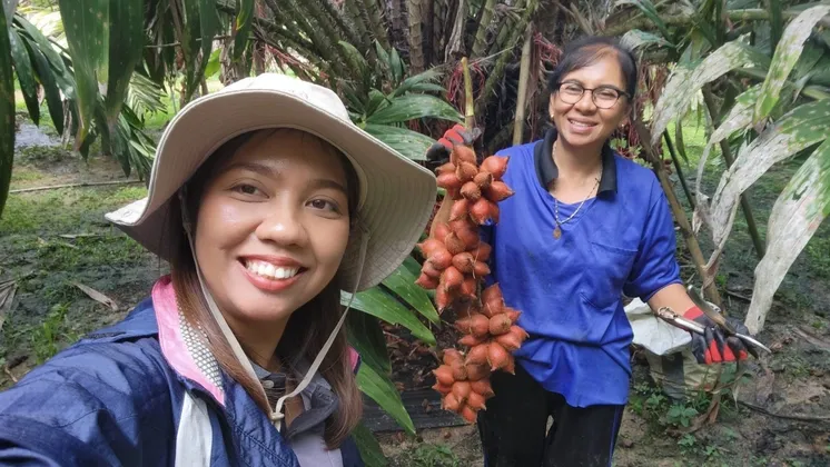 เกษตรอำเภอกันตัง จังหวัดตรัง ลงพื้นที่เยี่ยมเยียนแปลงสละสุมาลีของนางกัญญา สังฆบุญญา