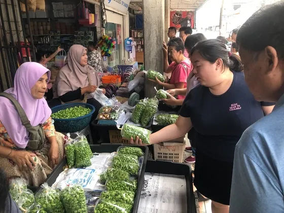 นักท่องเที่ยวชาวมาเลเซีย ไม่พลาดแวะซื้อสะตอเบตงติดมือกลับบ้านในช่วงวันหยุดยาว แม่ค้าเผยปีนี้สะตอผลผลิตจำนวนมาก ยอดขายดี ชาวมาเลเซียชอบกินเพราะมีสรรพคุณทางยา