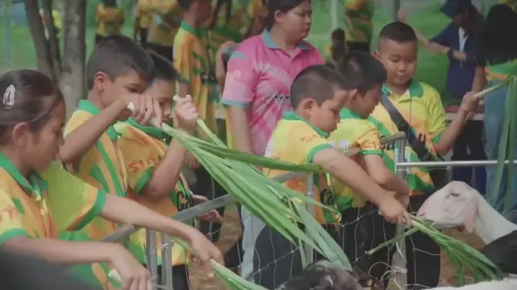 มหาวิทยาลัยเทคโนโลยีสุรนารี โคราช จัดโครงการเกษตรอาหารกลางวันสำหรับโรงเรียน