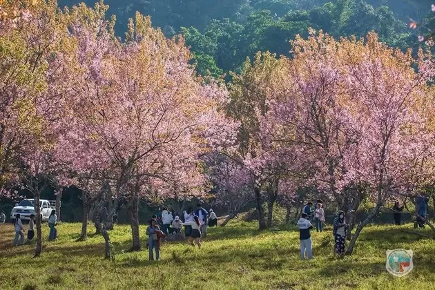 ภาพข่าว ภาพรวมท่องเที่ยวปีใหม่ ๒๕๖๙ ในพื้นที่อุทยานแห่งชาติ พบมีปริมาณนักท่องเที่ยวสะสม ๓ วัน สูงกว่า ๗๔๐,๐๐๐ คน สามารถสนับสนุนคนไทยเที่ยวธรรมชาติเพิ่มขึ้นร้อยละ ๒๒ - TIGER NEWS REPORT