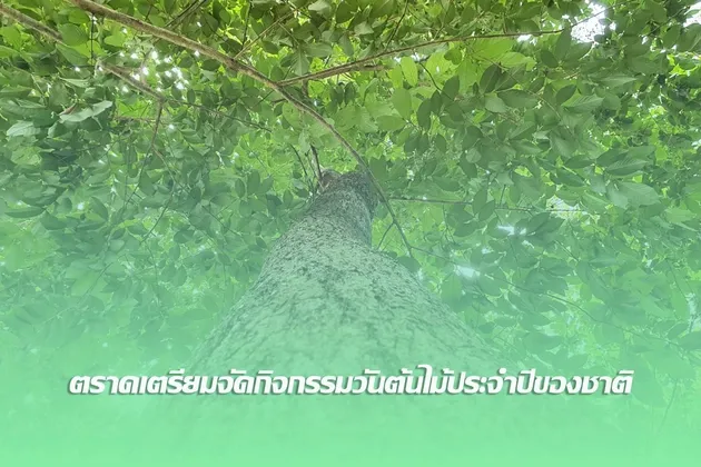 จังหวัดตราดเตรียมจัดกิจกรรมวันต้นไม้ประจำปีของชาติ พ.ศ.๒๕๖๙ ขึ้นที่วัดสระอินทนินรัตนาราม ตำบลวังกระแจะ