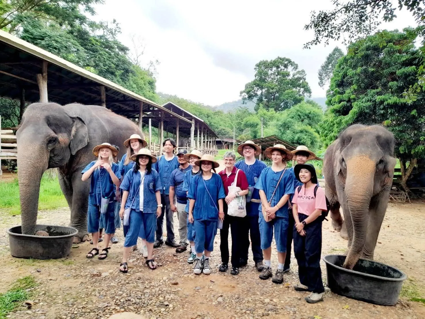 เชียงใหม่ – ปางช้างแม่สาต้อนรับนักศึกษาสัตวแพทย์นานาชาติ ลุยห้องเรียนธรรมชาติ สัมผัสประสบการณ์จริงในโปรแกรมดูแลช้างร่วมกับควาญช้างมืออาชีพ
