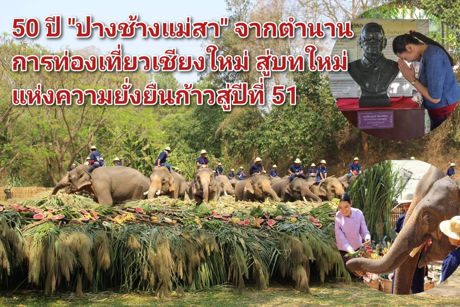 (มีคลิป) ๕๐ ปี ปางช้างแม่สา จากตำนานการท่องเที่ยวเชียงใหม่ สู่บทใหม่แห่งความยั่งยืนก้าวสู่ปีที่ ๕๑