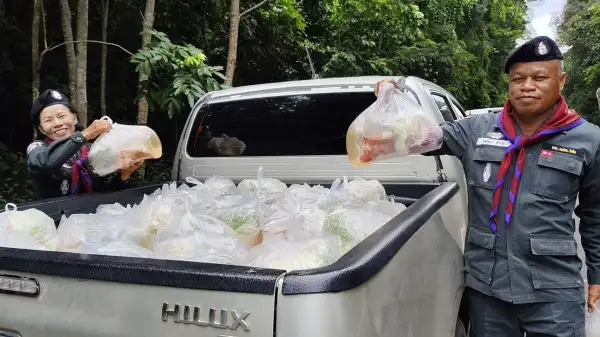 ภาพข่าว