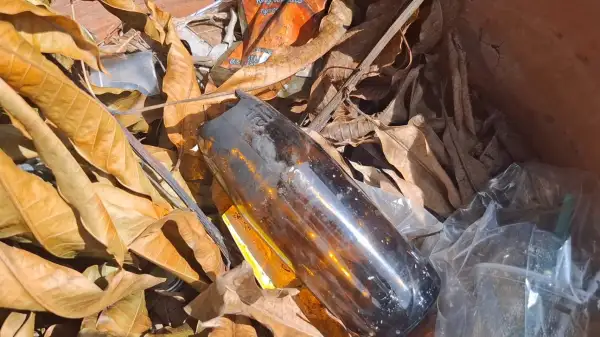 ภาพข่าว