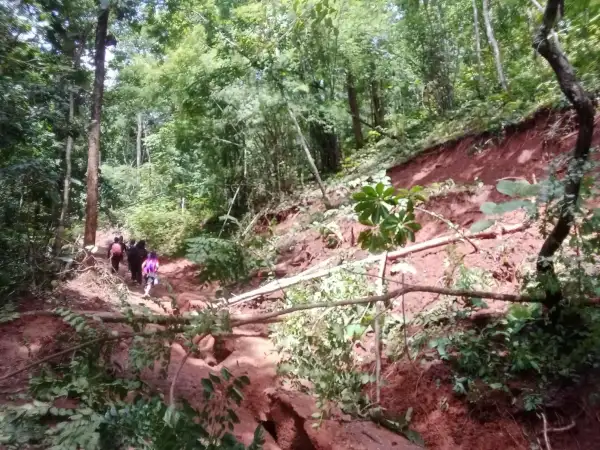 ภาพข่าว