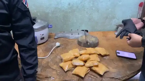 ภาพข่าว