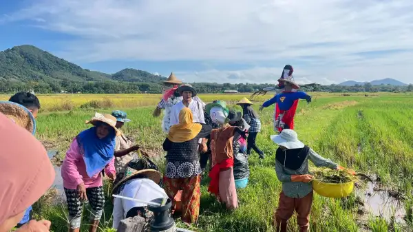 ภาพข่าว