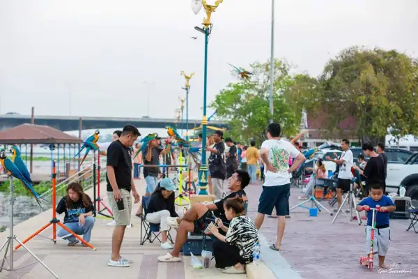 ภาพข่าว