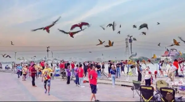 ภาพข่าว