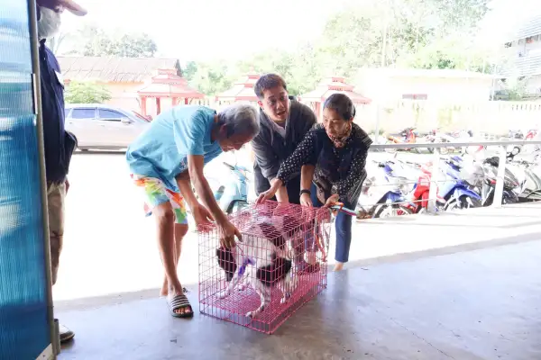 ภาพข่าว