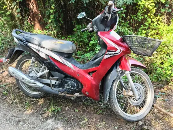 ภาพข่าว