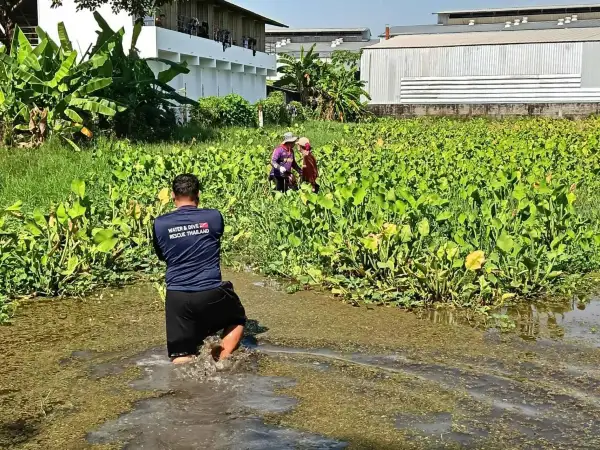 ภาพข่าว