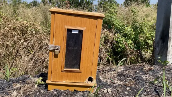 ภาพข่าว