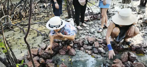 ภาพข่าว