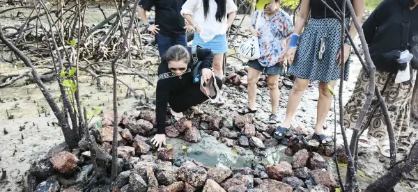 ภาพข่าว