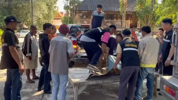 ภาพข่าว