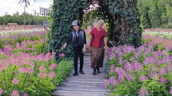 ภาพข่าว