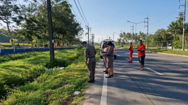 ภาพข่าว