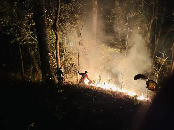 ภาพข่าว