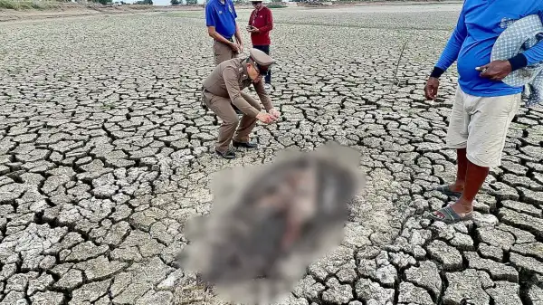 ภาพข่าว นครนายก - ผงะ พบศพในบ่อปลา คาดเป็นลมเสียชีวิตกว่า 1 สัปดาห์ - TIGER NEWS REPORT