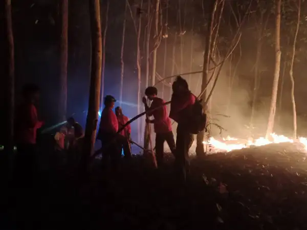 ภาพข่าว พบจุดความร้อนเพิ่มต่อเนื่อง - TIGER NEWS REPORT