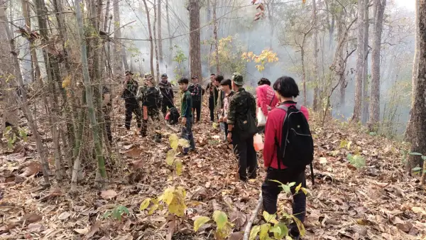 ภาพข่าว จัดการเชื้อเพลิงเพื่อลดไฟป่าและหมอกควัน - TIGER NEWS REPORT