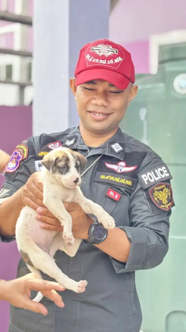 ภาพข่าว