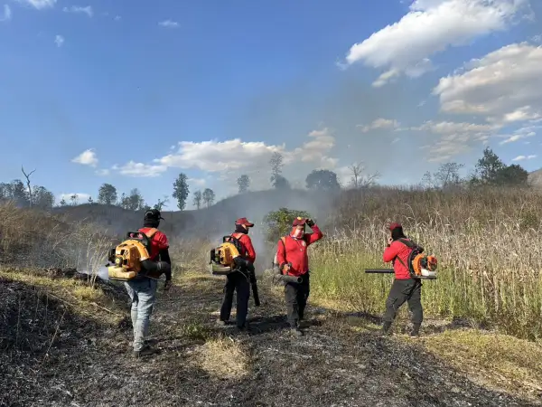ภาพข่าว เร่งดับไฟป่าสาละวิน - TIGER NEWS REPORT