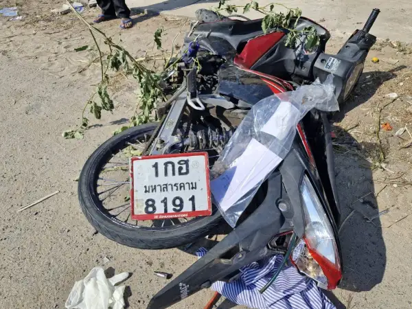 ภาพข่าว