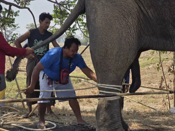 ภาพข่าว