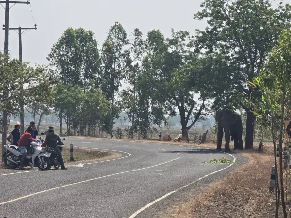 ภาพข่าว