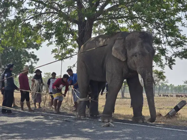 ภาพข่าว