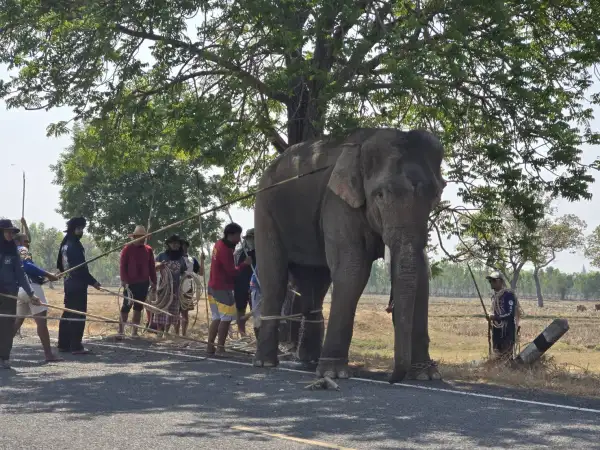 ภาพข่าว