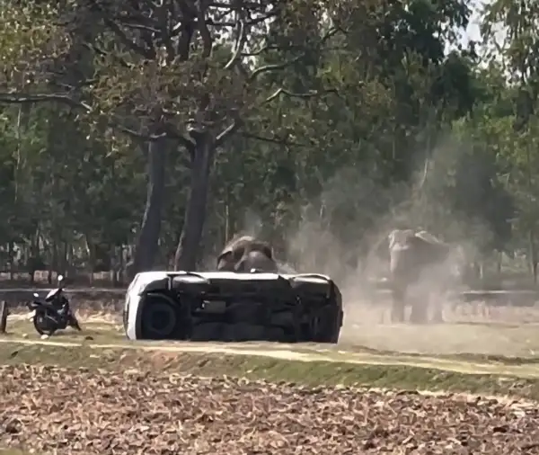 ภาพข่าว