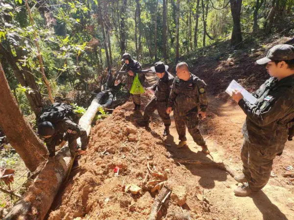 ภาพข่าว แฉเบื้องหลังหวังทำไม้และของเถื่อนชายแดน - TIGER NEWS REPORT